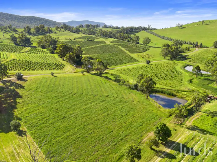 Second view of Homely rural property listing, 593 Mount View Road, Mount View NSW 2325
