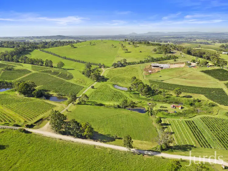 Third view of Homely rural property listing, 593 Mount View Road, Mount View NSW 2325