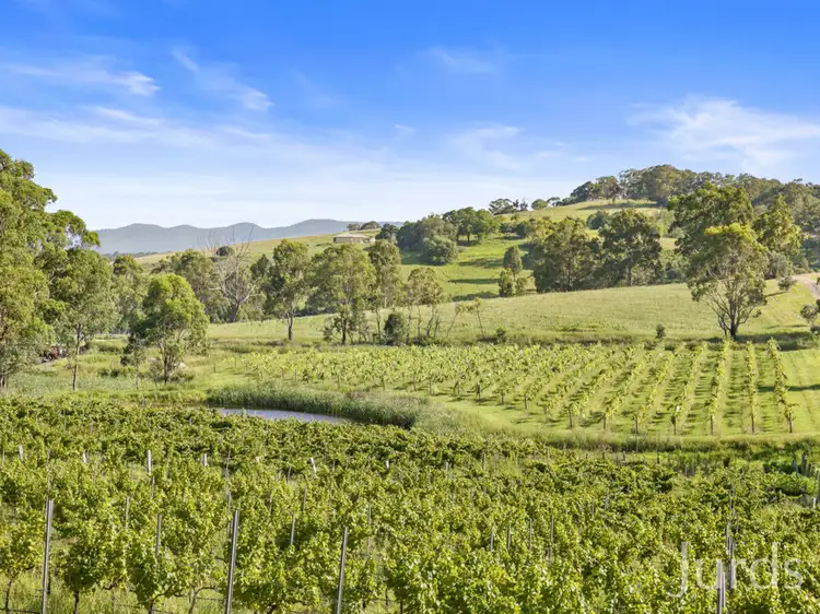 Fifth view of Homely rural property listing, 593 Mount View Road, Mount View NSW 2325