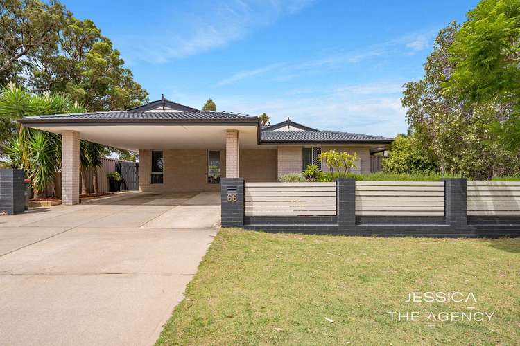 Main view of Homely house listing, 66 Southwell Crescent, Hamilton Hill WA 6163