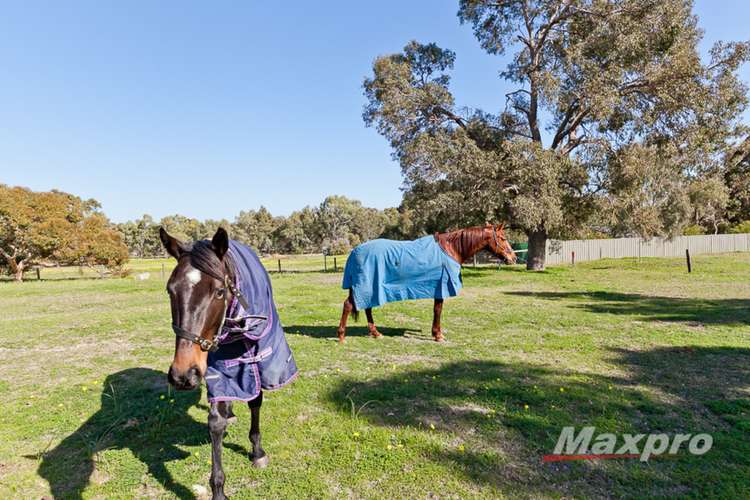 Second view of Homely acreageSemiRural listing, 7 Hayward Road, Martin WA 6110