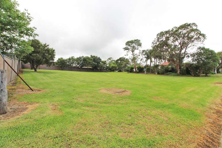 Seventh view of Homely house listing, 67 Queen Street, Narellan NSW 2567