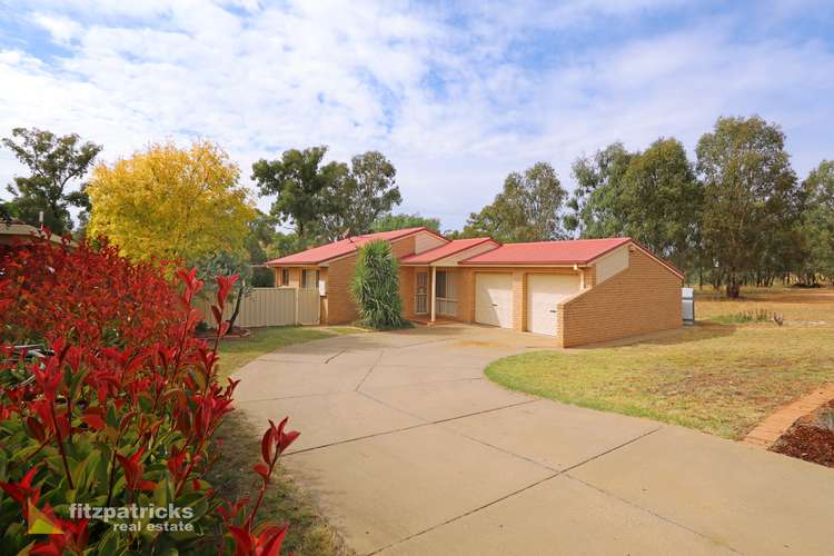 Main view of Homely house listing, 31 Schipp Street, Forest Hill NSW 2651