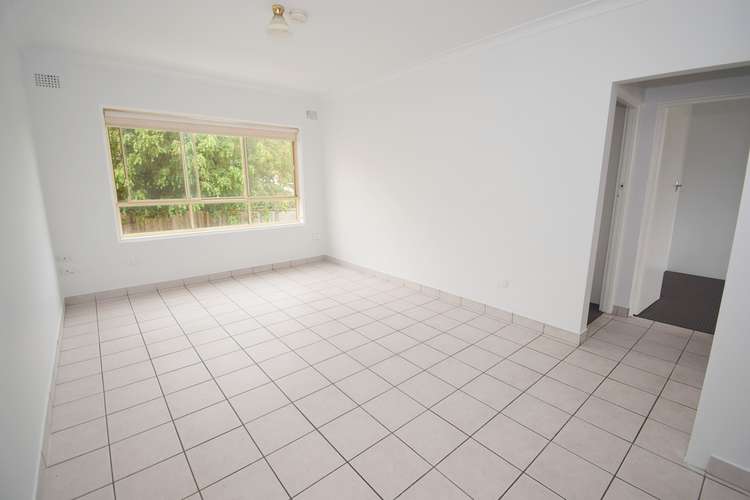 Third view of Homely apartment listing, 6/42 Norton Street, Ashfield NSW 2131