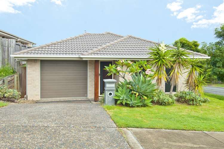 37 Cairnlea Drive, Pimpama QLD 4209