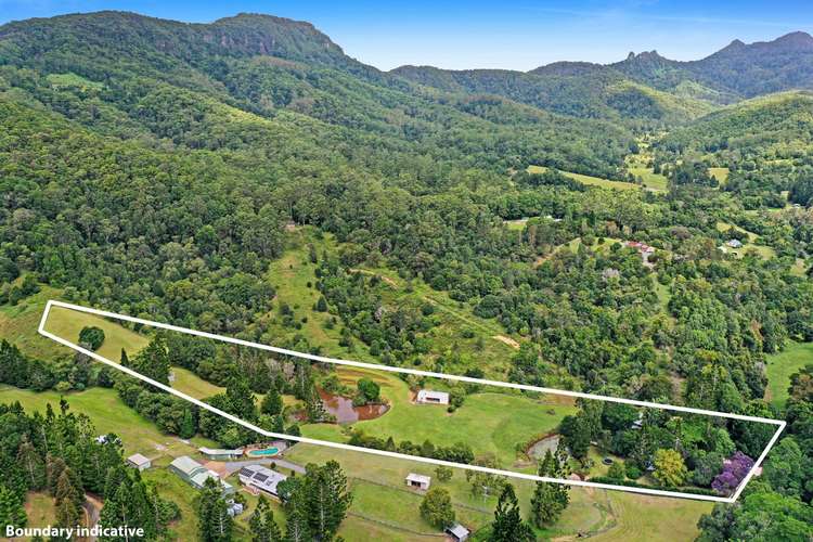Second view of Homely house listing, 1395 Tallebudgera Creek Road, Tallebudgera Valley QLD 4228