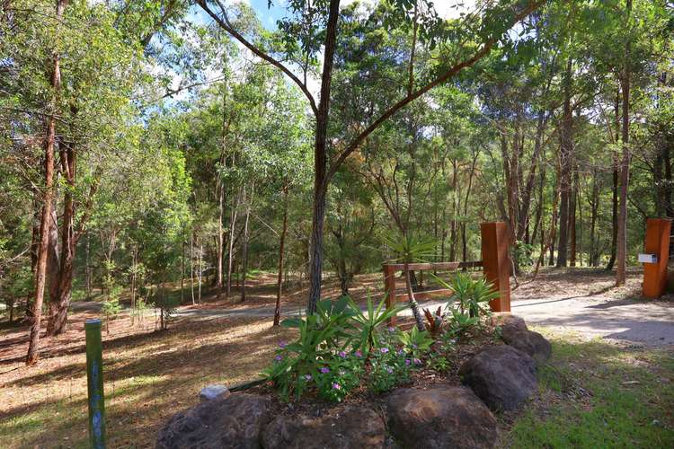 Fourth view of Homely house listing, 65 Henri Robert Drive, Clagiraba QLD 4211