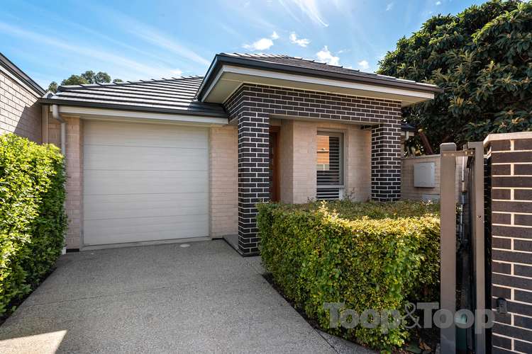 Main view of Homely house listing, 37A Mortimer Street, Kurralta Park SA 5037