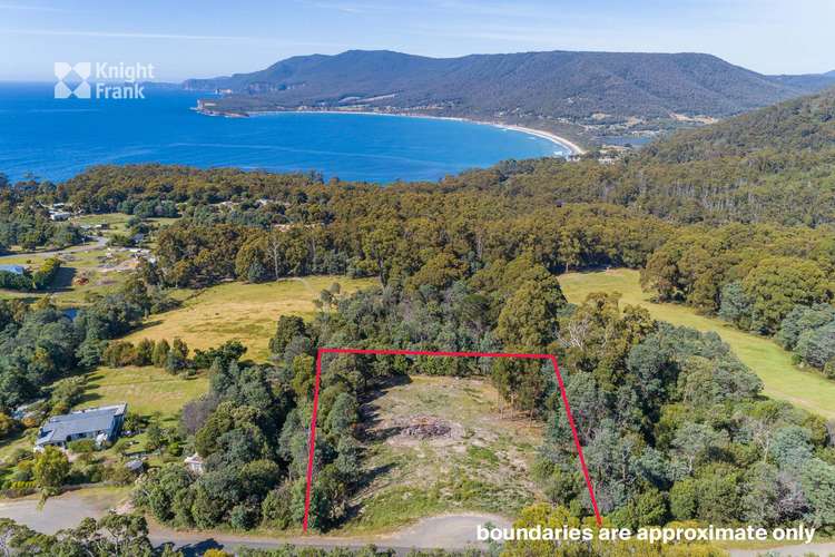 Main view of Homely residentialLand listing, 110 Pirates Bay Drive, Eaglehawk Neck TAS 7179