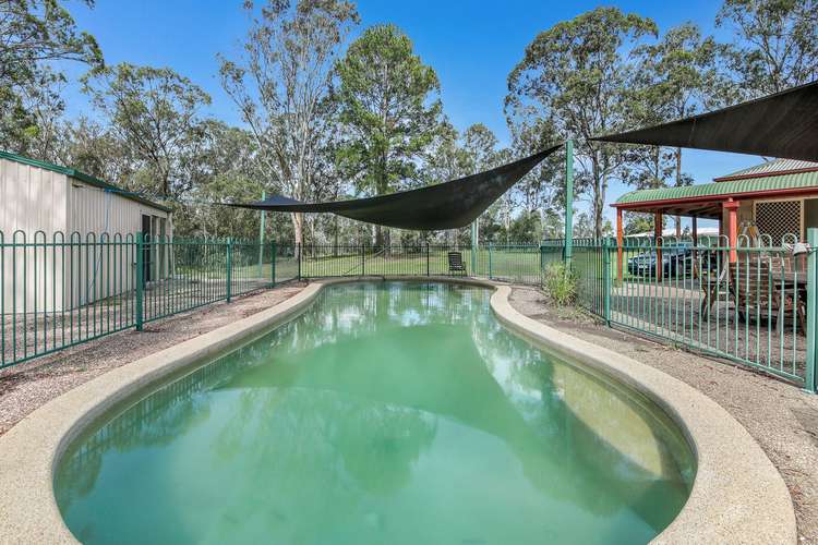 Third view of Homely acreageSemiRural listing, 127 Pimpama Jacobs Well Road, Pimpama QLD 4209