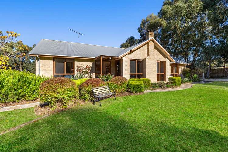 Third view of Homely house listing, 113 Coombes Road, Torquay VIC 3228
