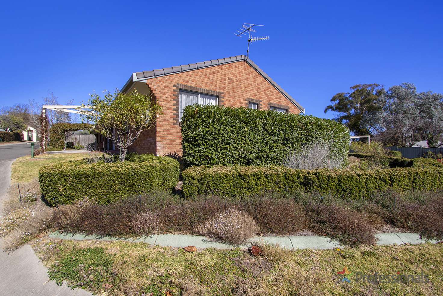 Main view of Homely unit listing, 1/161A Brown Street, Armidale NSW 2350