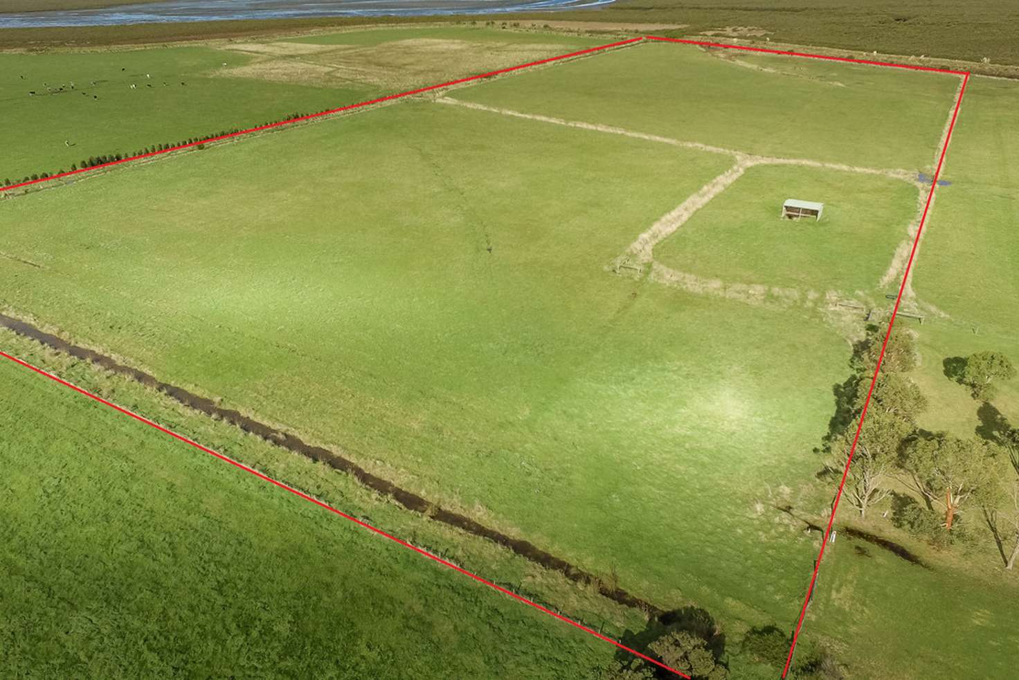 Main view of Homely livestock listing, 40 Swan Bay Road, Toora VIC 3962