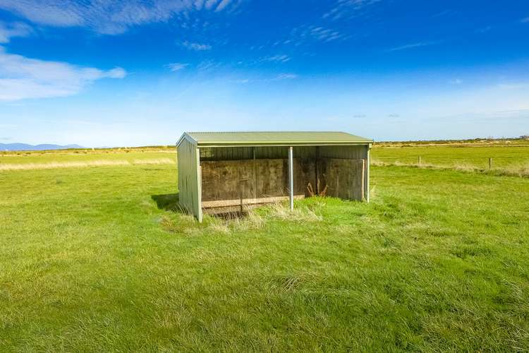 Third view of Homely livestock listing, 40 Swan Bay Road, Toora VIC 3962