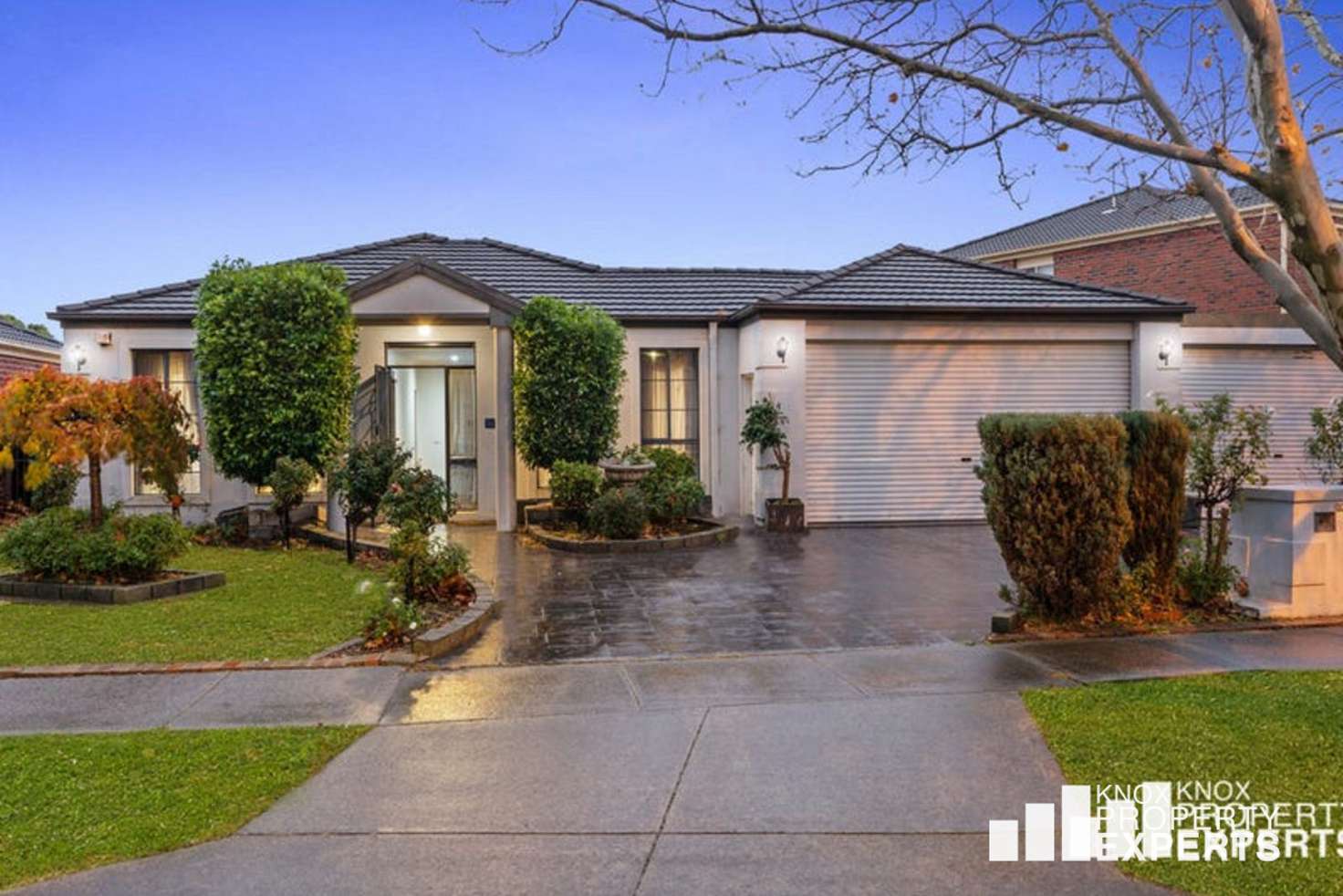 Main view of Homely house listing, 104 Jenola Parade, Wantirna South VIC 3152