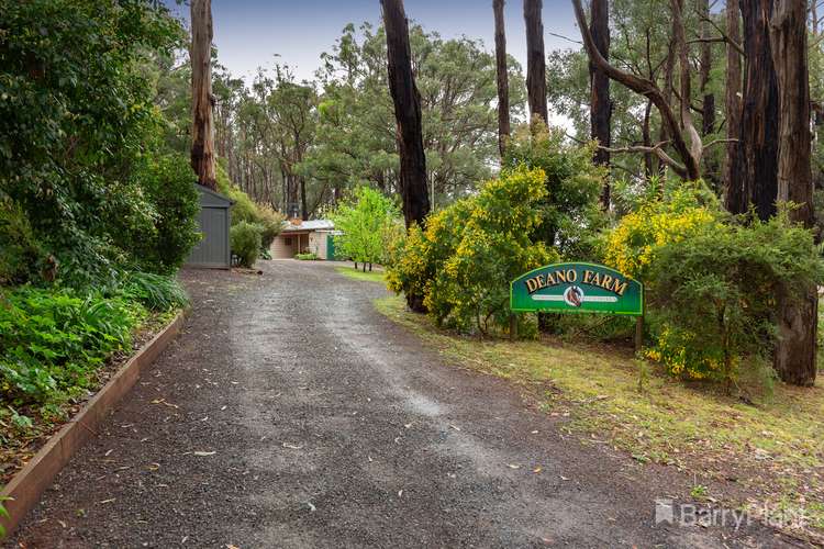 Third view of Homely house listing, 15 Coulson Road, Monbulk VIC 3793