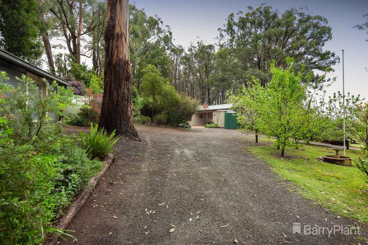 Fifth view of Homely house listing, 15 Coulson Road, Monbulk VIC 3793