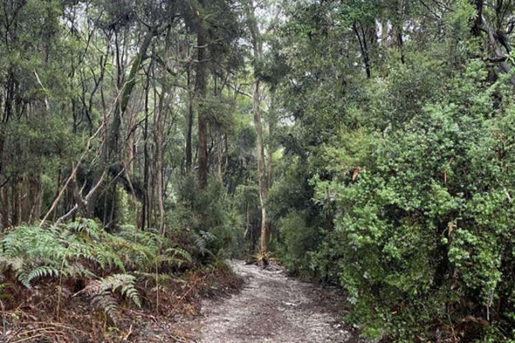 Fifth view of Homely mixedFarming listing, 1D Rawlings Road, Upper Stowport TAS 7321