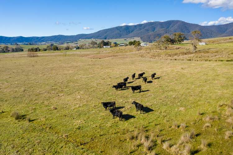Third view of Homely livestock listing, 109B Coulstons Road, Lucyvale VIC 3691