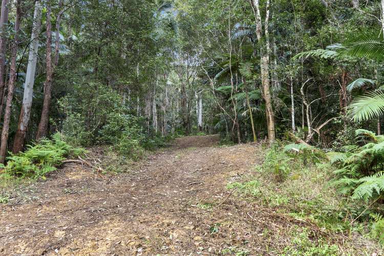 Sixth view of Homely residentialLand listing, LOT 4 Booka Road, Upper Crystal Creek NSW 2484