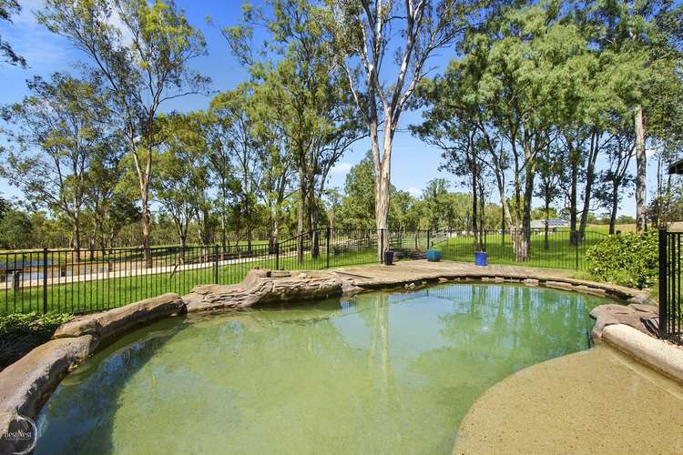 Third view of Homely acreageSemiRural listing, 17 Creek Ridge Road, Glossodia NSW 2756