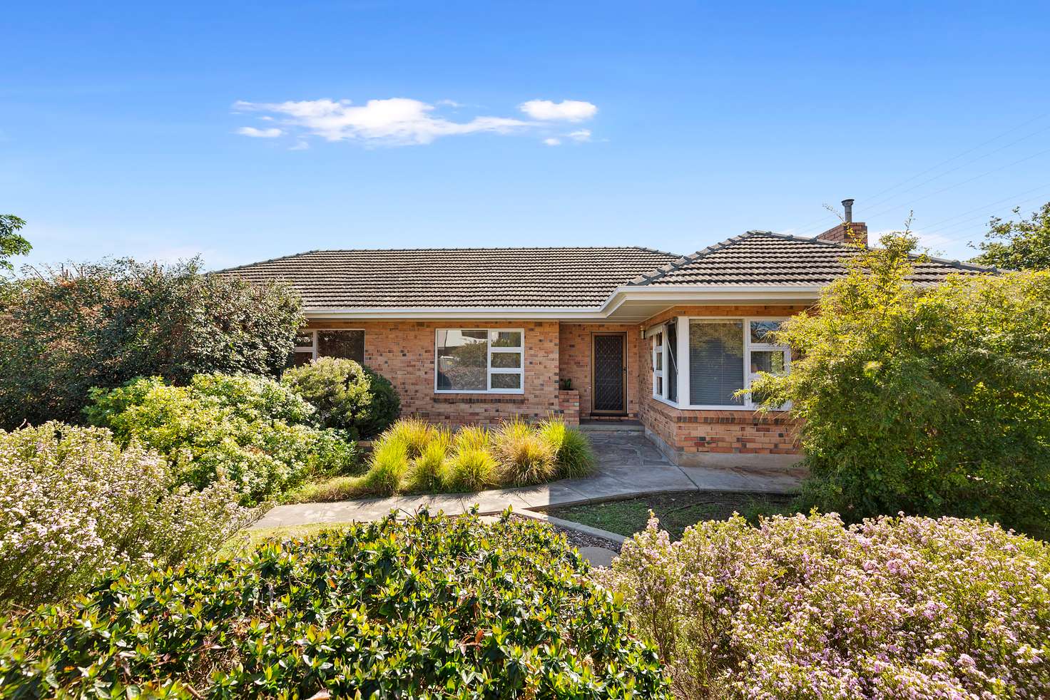 Main view of Homely house listing, 11 Oliphant Avenue, Oaklands Park SA 5046