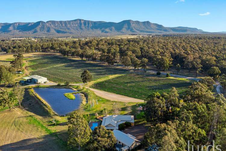 Main view of Homely viticulture listing, 771 Hermitage Road, Pokolbin NSW 2320