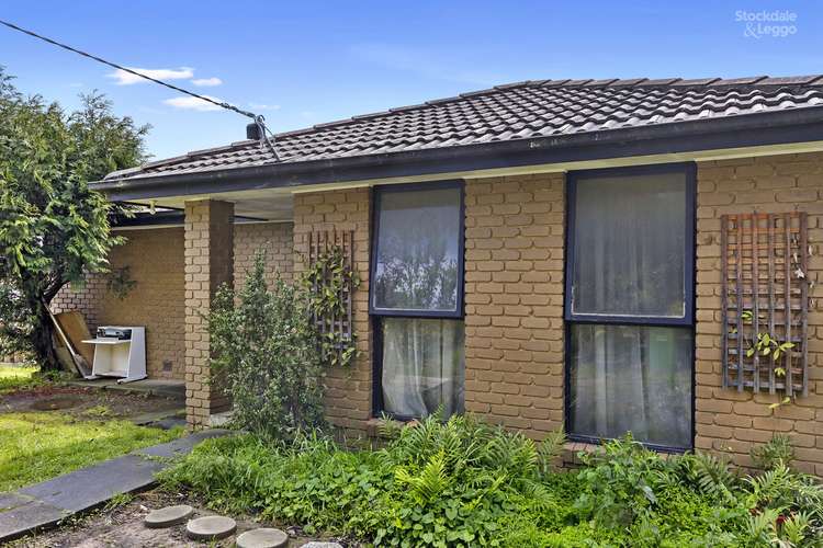 Main view of Homely house listing, 11 Bede Avenue, Coldstream VIC 3770