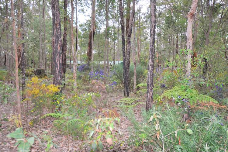 Third view of Homely residentialLand listing, Lot 118 Karri Lane, Quinninup WA 6258