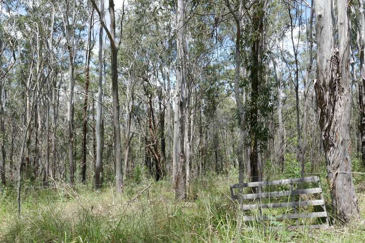 Seventh view of Homely lifestyle listing, Lot 4 Leslie Creek Road, Drake NSW 2469