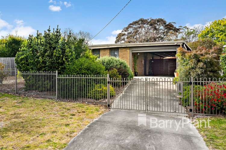 Main view of Homely house listing, 25 Harridge Street, Rosebud VIC 3939