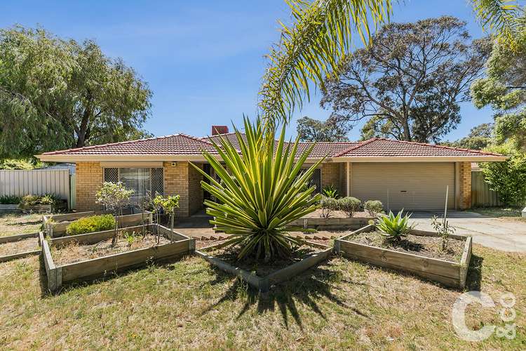 Main view of Homely house listing, 6 Shaw Mews, Leda WA 6170