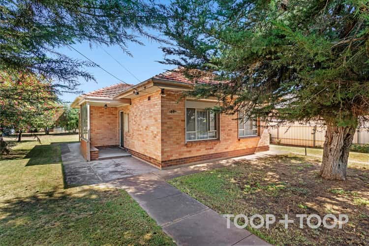 17 Shirley Avenue, Croydon Park SA 5008