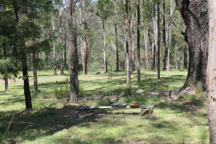 Main view of Homely lifestyle listing, LOT Lot 4, 62 Leslie Creek Road, Drake NSW 2469