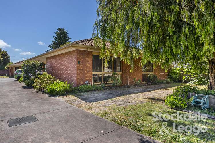 Main view of Homely unit listing, 2/82 Potton Avenue, Rosebud VIC 3939