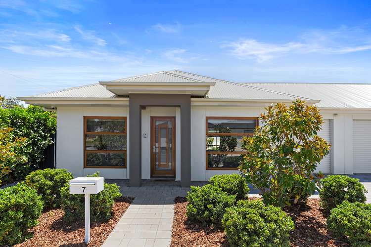 Main view of Homely house listing, 7 Peter Street, Marion SA 5043