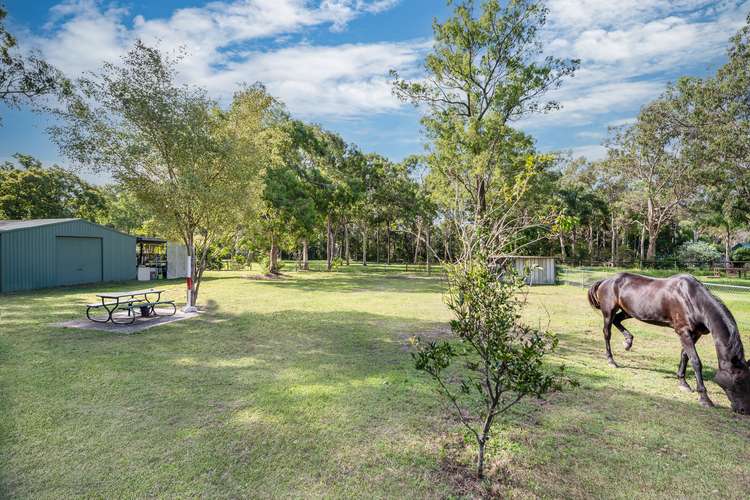 Fourth view of Homely house listing, 15 Wille Court, Ormeau QLD 4208