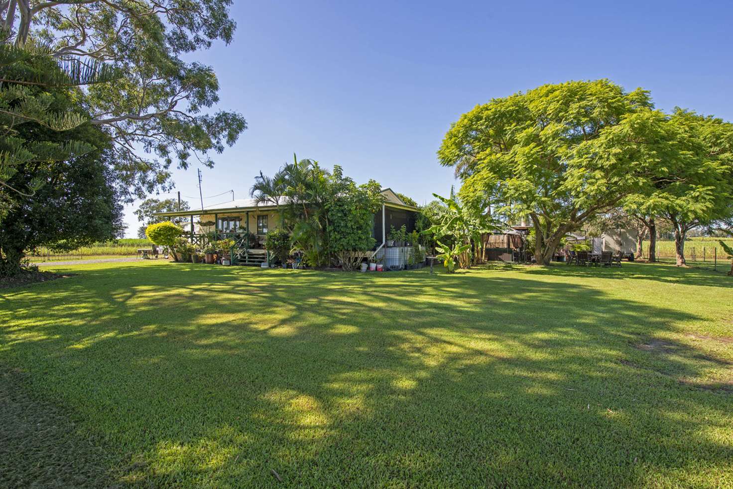 Main view of Homely acreageSemiRural listing, 137 New Norwell Road, Woongoolba QLD 4207