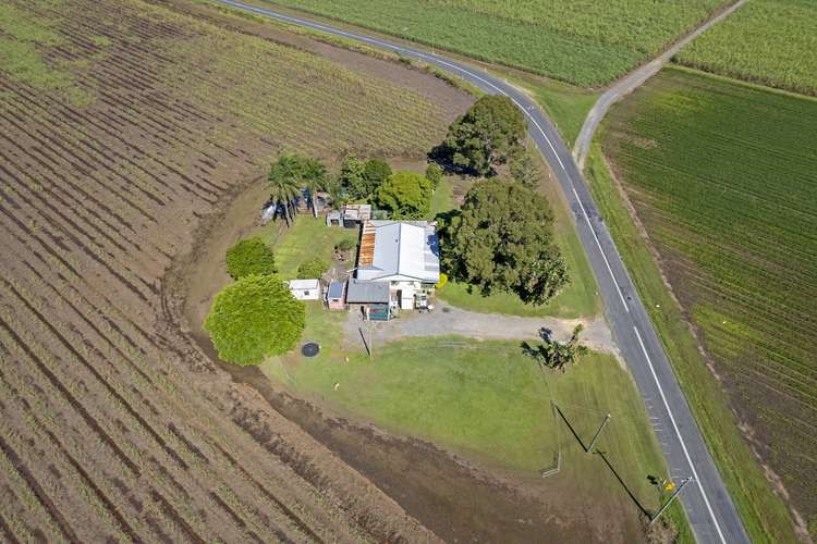 Fifth view of Homely acreageSemiRural listing, 137 New Norwell Road, Woongoolba QLD 4207