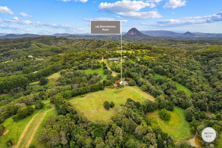 Main view of Homely acreageSemiRural listing, 145 Blanckensee Road, Black Mountain QLD 4563