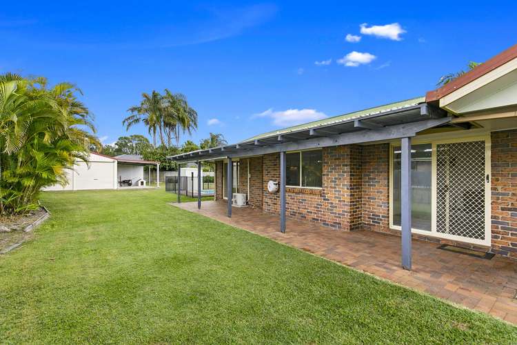 Main view of Homely house listing, 7 Bloodwood Court, Kawungan QLD 4655