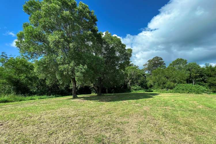 Fifth view of Homely acreageSemiRural listing, 42 Equestrian Drive, Maudsland QLD 4210