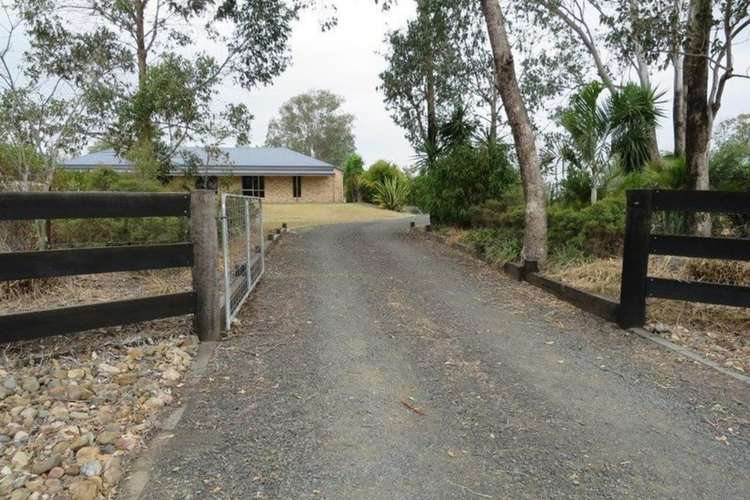 Main view of Homely house listing, 127 Poplar Street, Walloon QLD 4306