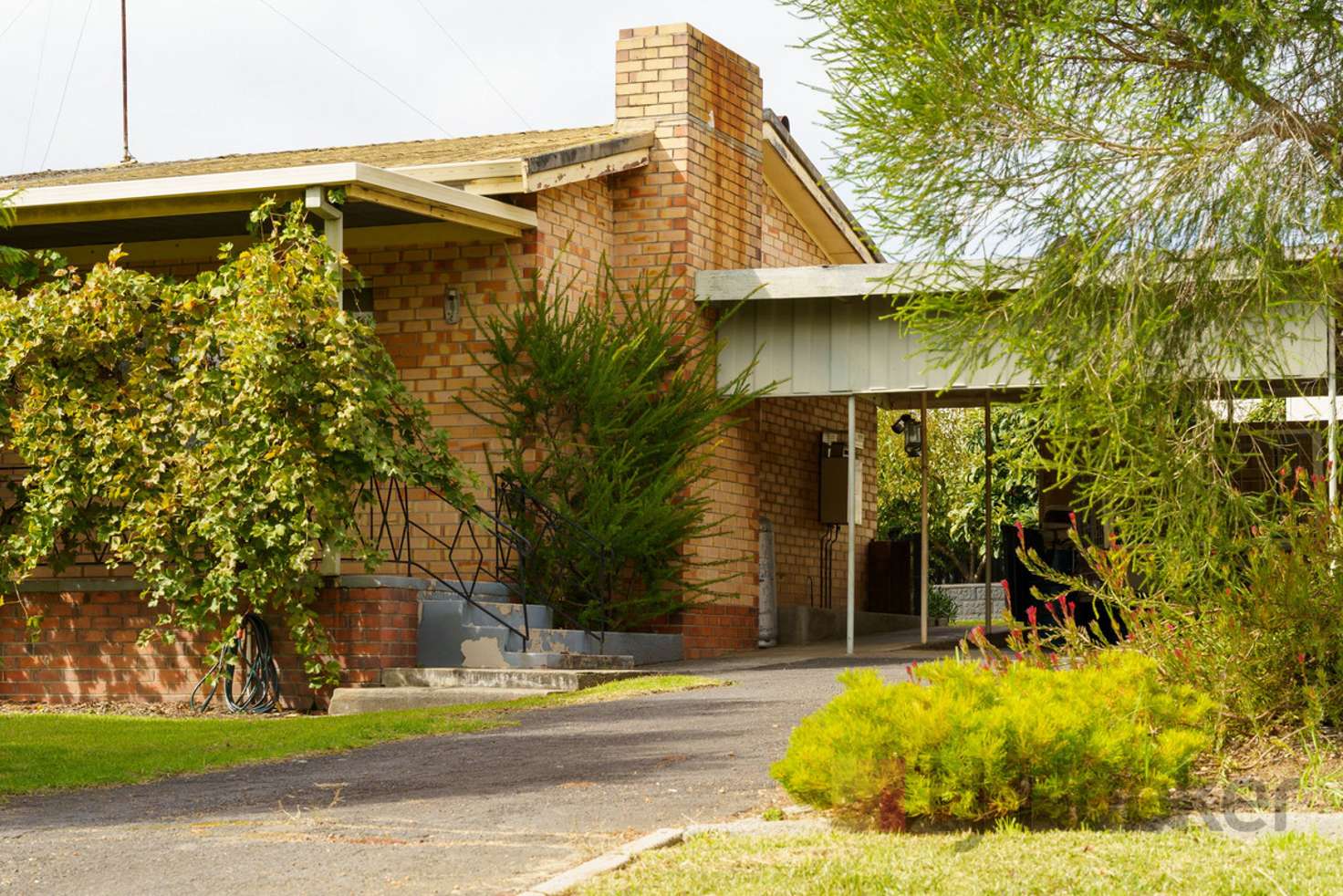 Main view of Homely house listing, 6 Reeve Street, Manjimup WA 6258