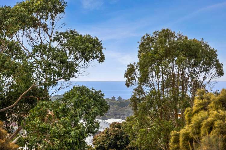 Third view of Homely house listing, 12 Manna Gum Drive, Torquay VIC 3228