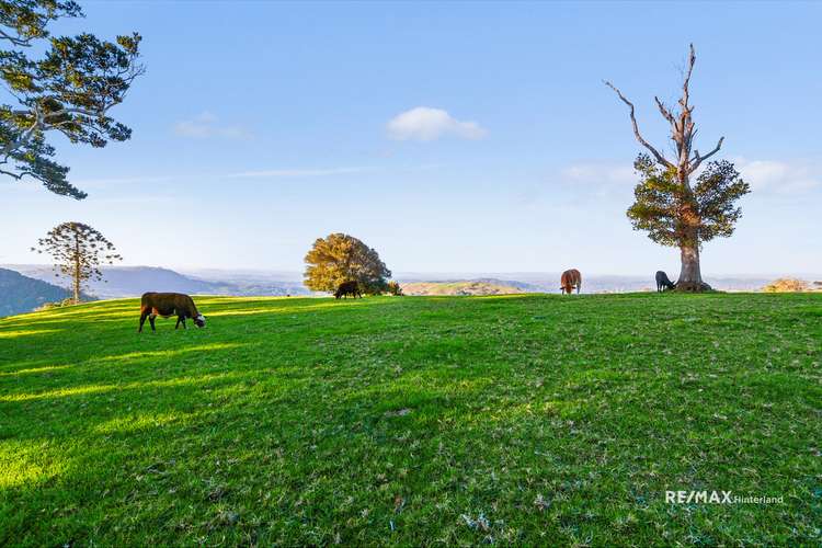 820 Landsborough Maleny Road, Bald Knob QLD 4552