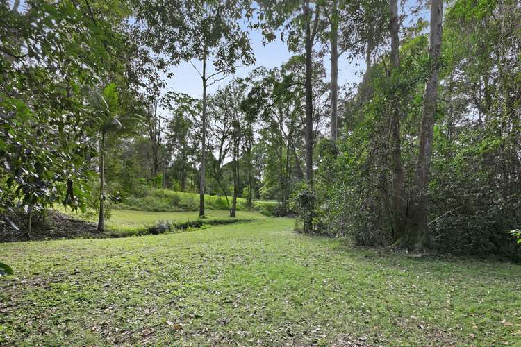 Main view of Homely acreageSemiRural listing, 221 Trees Road, Tallebudgera QLD 4228