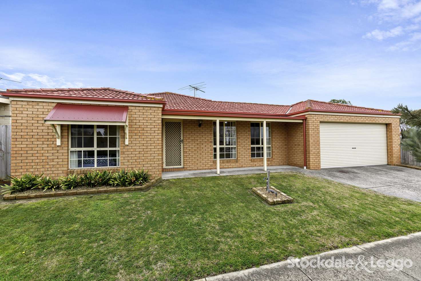 Main view of Homely unit listing, 15 Nash Avenue, Drysdale VIC 3222