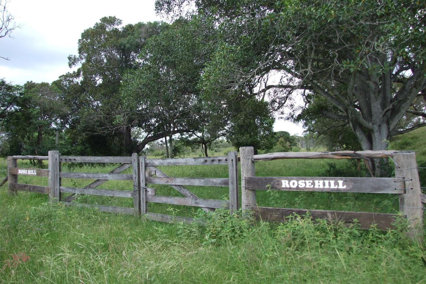 Main view of Homely lifestyle listing, Lot 1 V Ramm Road, Bajool QLD 4699