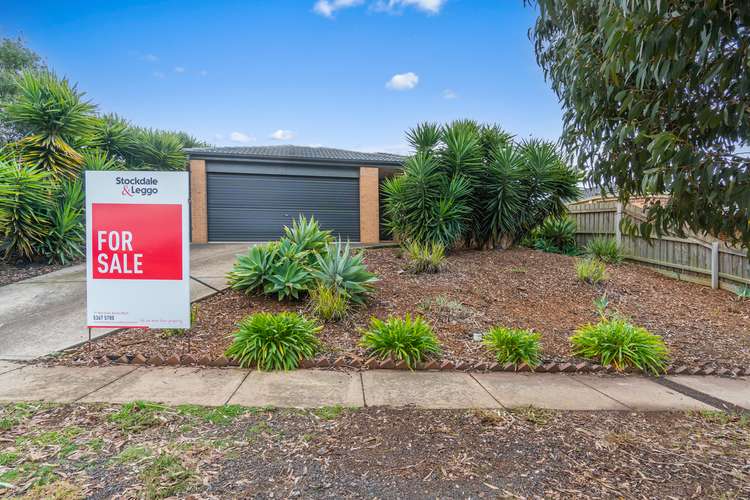 53 Tilley Drive, Bacchus Marsh VIC 3340